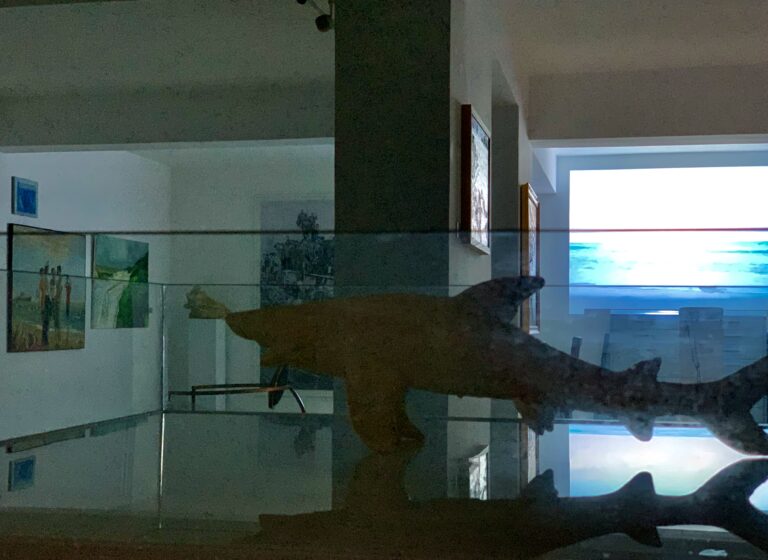 Ekspozita Peizahe nga Riviera 2020-023